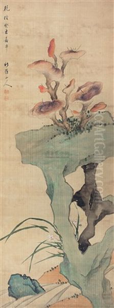 Ganoderma - view 1