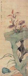 Ganoderma Ganoderma