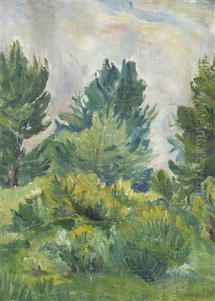Trees - view 1