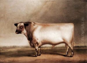 Ormsby, A Prize Bull, Bred By Mr William Cropper Of Laceby