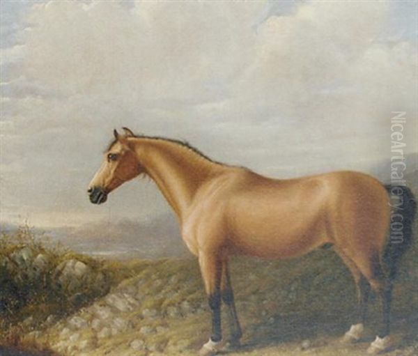 A Palomino Horse In A Mountainous Landscape - view 1