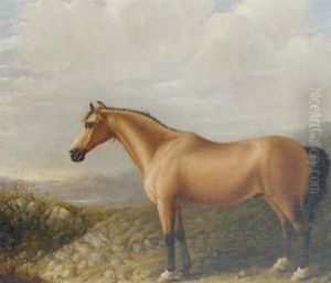 A Palomino Horse In A Mountainous Landscape