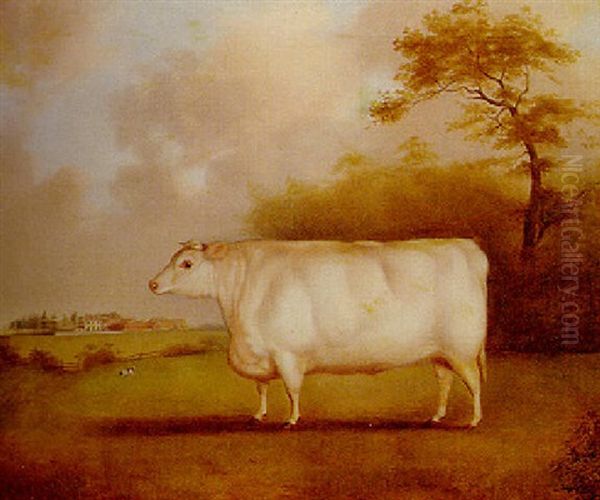 The White Shorthorn Heifer "lady Horsley", In A Landscape With A Farm Beyond - view 1