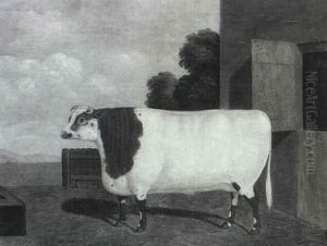 Bella, The Famous Champion Shorthorned Heifer by Charles Hubbard