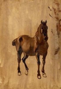 Cheval (study)