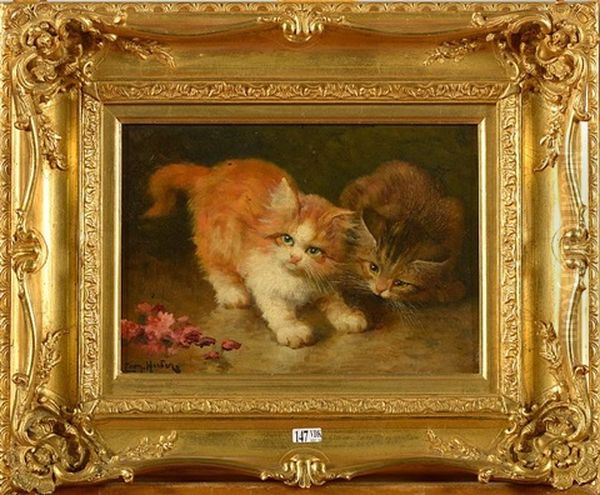 Chatons - view 1