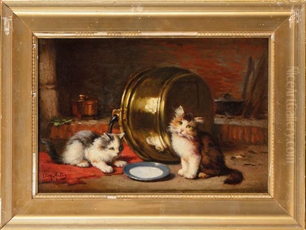 Chatons - view 1