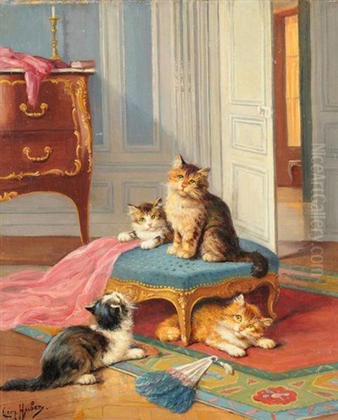 Jeunes Chats - view 1