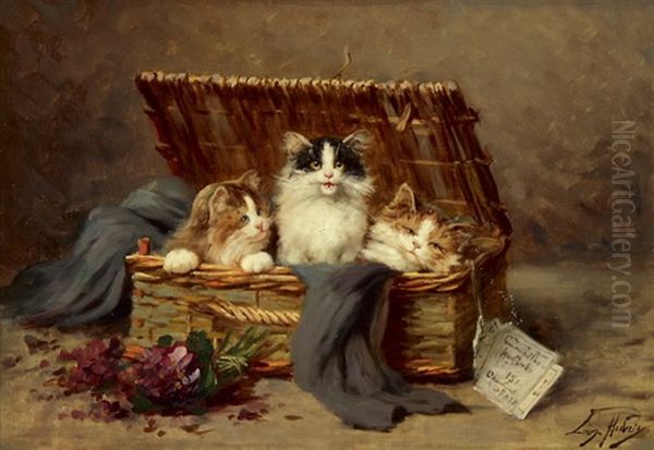 Drei Junge Katzen In Einem Bastkorb - view 1
