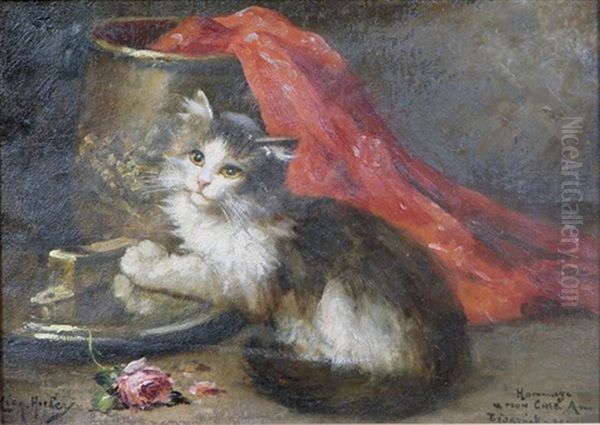 Chaton Et Pot En Cuivre - view 1