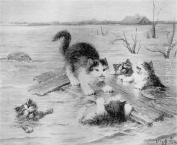 Les Chatons Naufrages - view 1