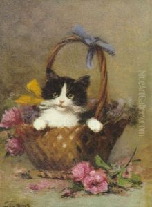 Chat Dans Un Panier De Fleurs Chat Dans Un Panier De Fleurs