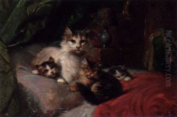 A Family Of Cats - view 1