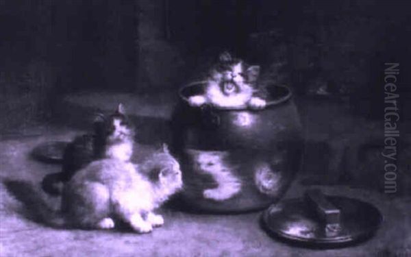 Mischievous Kittens - view 1