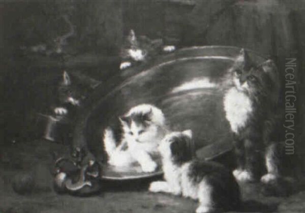 Kitten On A Kitchen Table - view 1