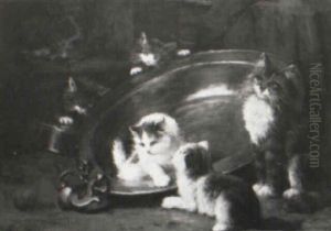 Kitten On A Kitchen Table