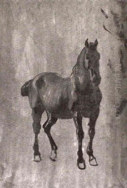 Un Cheval - view 1