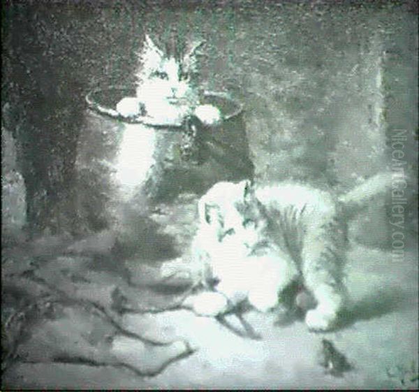 Curious Kittens - view 1