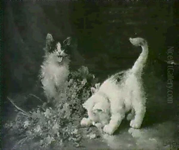 Chatons Aux Mimosas Et Aux Violettes - view 1