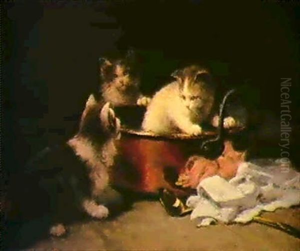 Spielende Junge Katzen - view 1