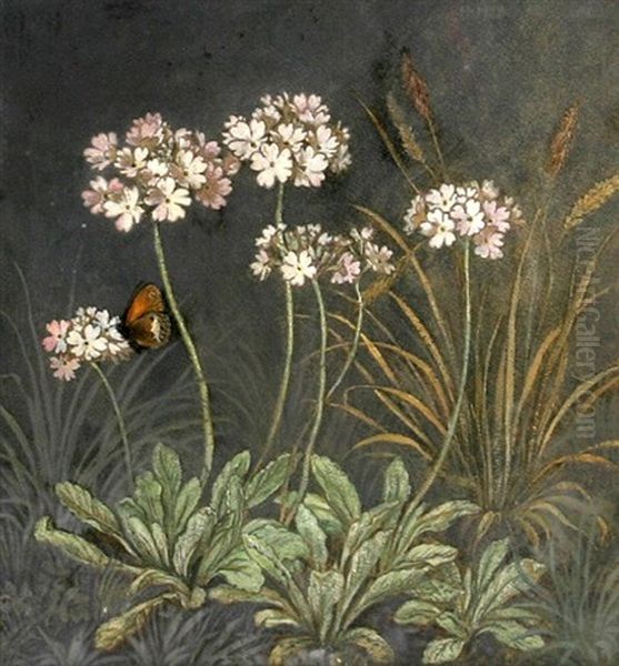 Wiesenblumen Mit Schmetterling - view 1