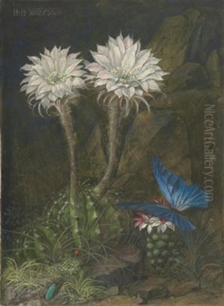 Konigin Der Nacht Und Blauer Schmetterling - view 1
