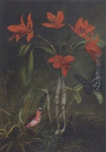 Laelia Einnabanina (brasilien) by Hans Huber-Sulzemoos