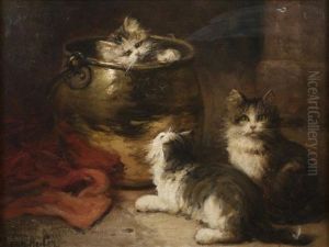 Jeunes Chatons Jouant