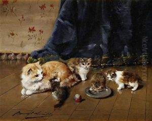 Chaton Pres Du Chaudron Chaton Pres Du Chaudron