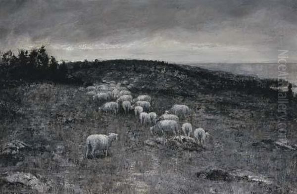 Sheep Grazing In The Countryside - view 1