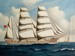 The Newcastle N.s.w. by Woolston Barratt