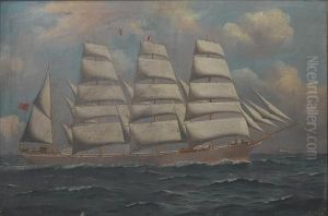 The
Lucipara by Woolston Barratt