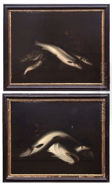 Still Life Studies Of Fish And Crab And Lobster - view 1