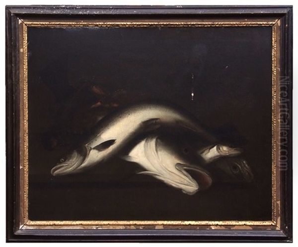 Still Life Studies Of Fish And Crab And Lobster - view 1