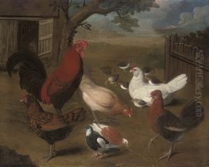 A Cockerel, Hens And Chicks And Other Birds In A Farmyard