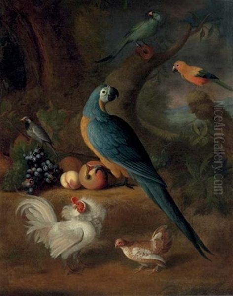 Parrots, Chickens, And Other Birds, In A Landscape - view 1