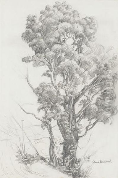 Alter Baum Am Wegrand - view 1