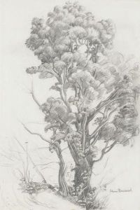 Alter Baum Am Wegrand by Aime Barraud
