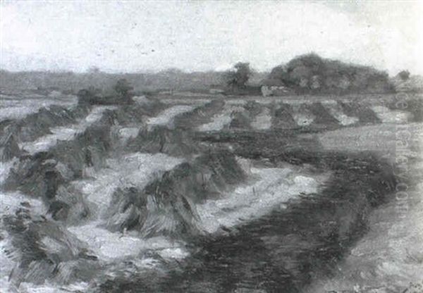 Hayfield, Canvey Island - view 1