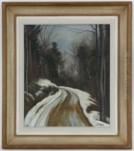 Paysage De Sous-bois Enneige by Aime Barraud