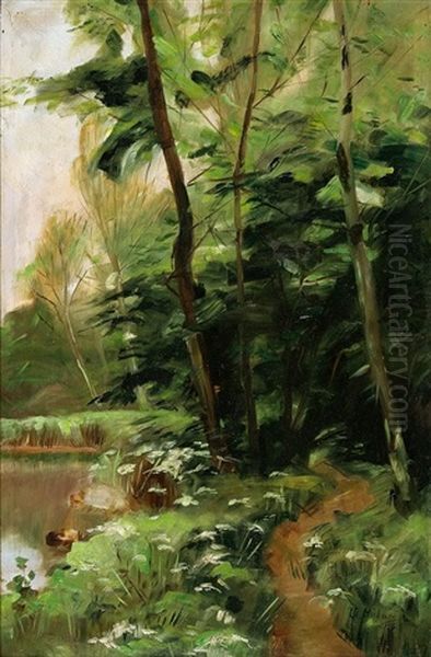 Parklandschaft Bei Potsdam - view 1
