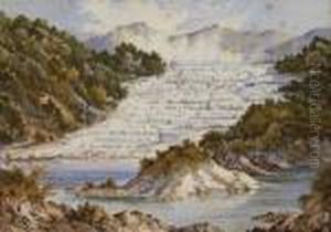 White Terraces With Bathers And Waka