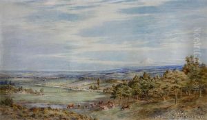 Extensive View Of Taranaki And Mt Egmont by Charles Decimus Barraud