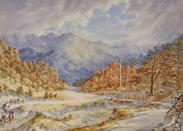Abbotts Creek Crossing - view 1