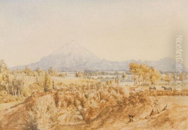 Mt Taranaki - view 1