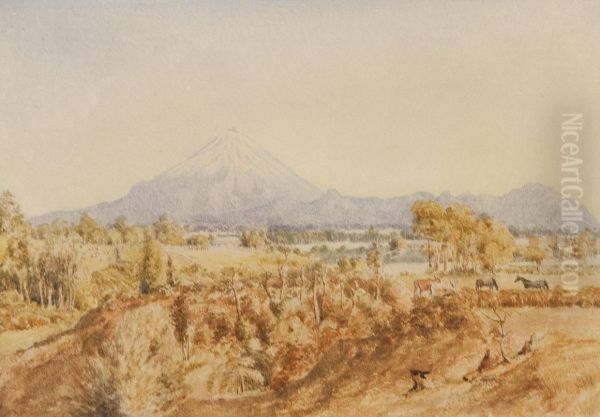 Mt Taranki - view 1