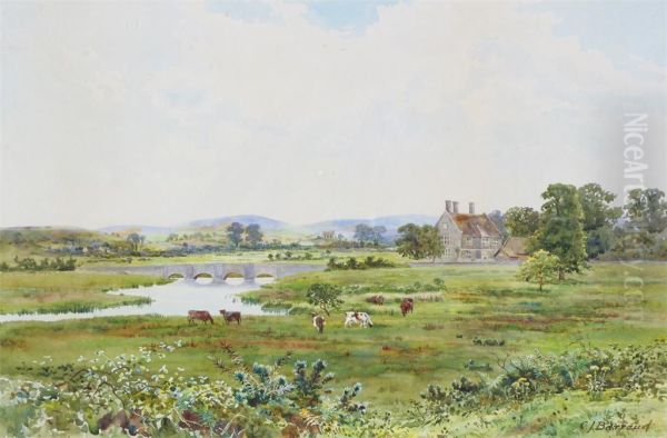 Cattle In A Meadow By A River Near Wool In Dorset - view 1