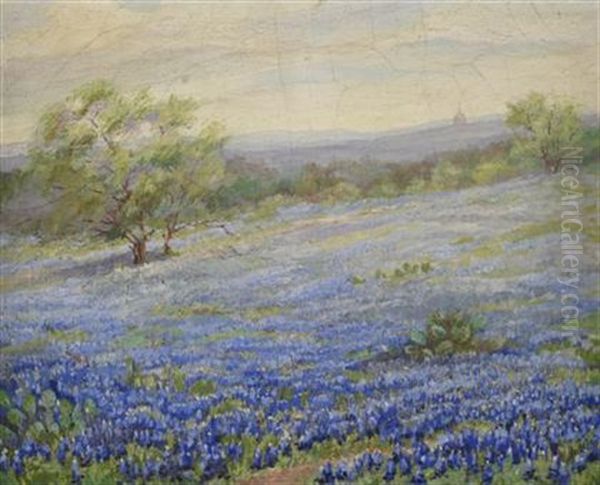 Texas Bluebonnets - view 1