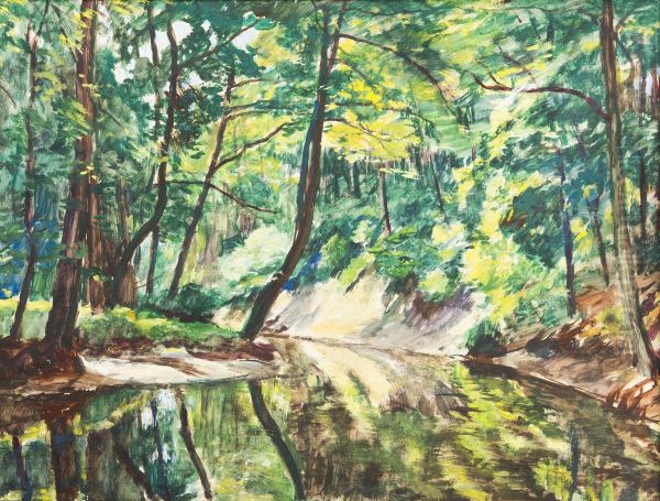 Brook In The Forest - view 1