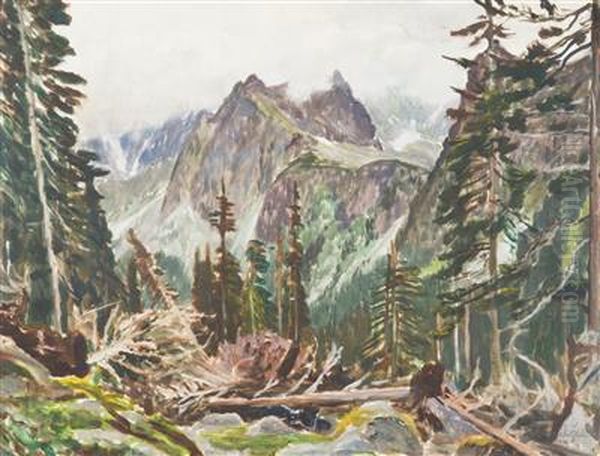 A Motif From The High Tatras - view 1